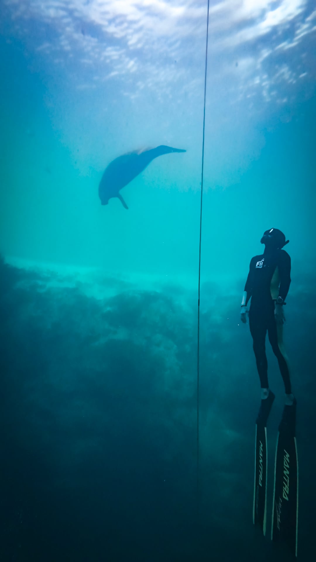 Costa on the line in a Florida spring, a manatee passing above
