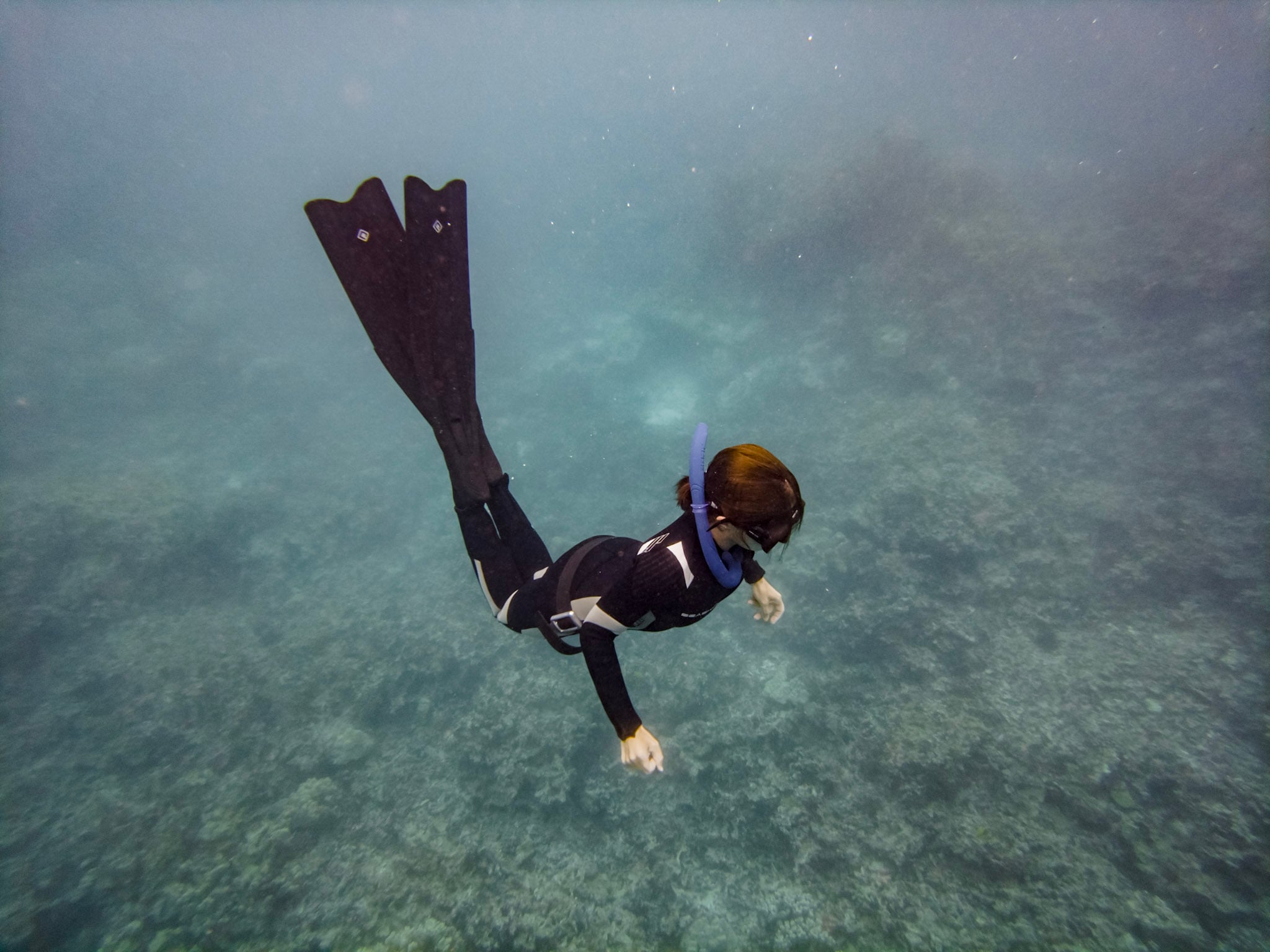 A freediver gliding down over a reef on one breath