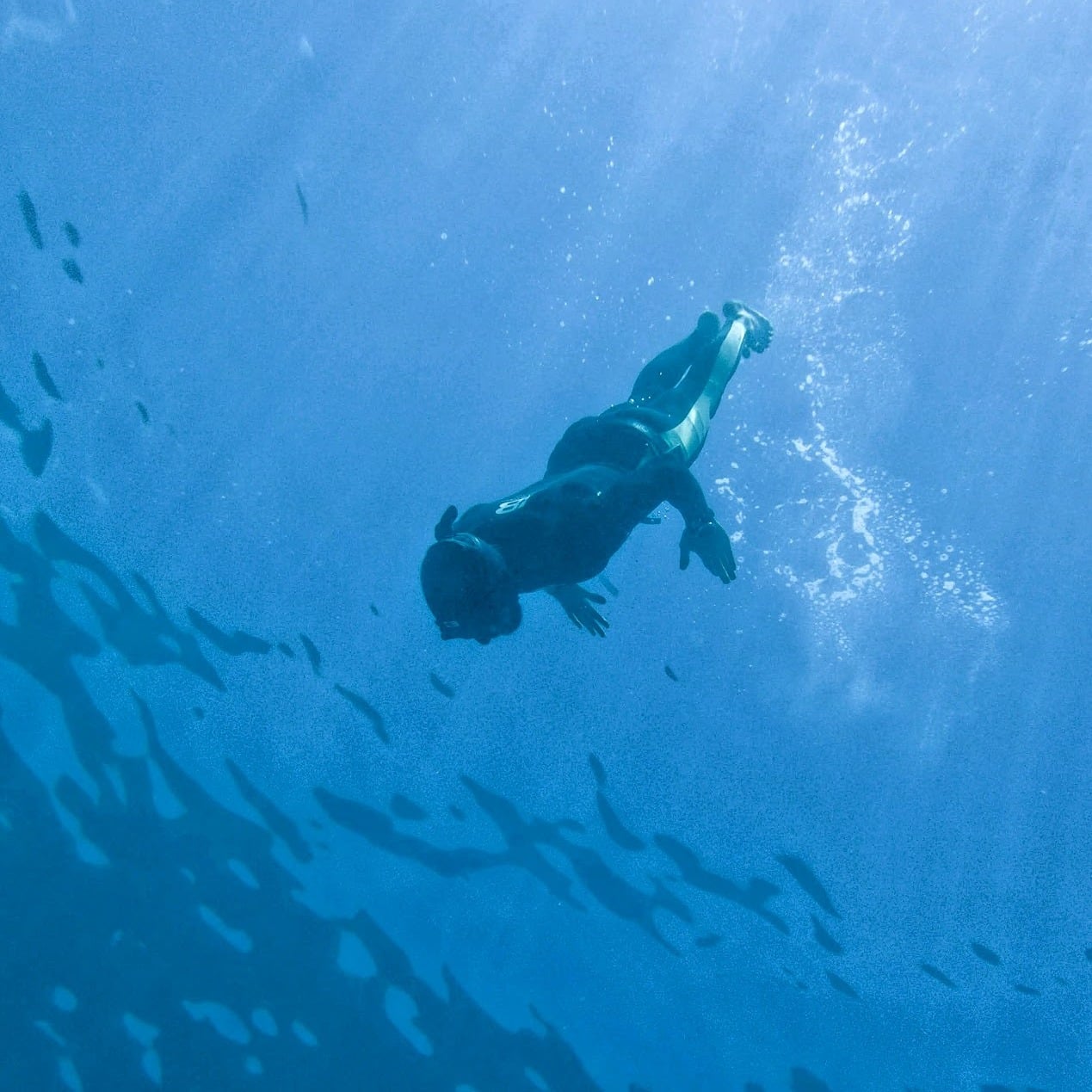 Costa diving down through open blue water on one breath, no fins