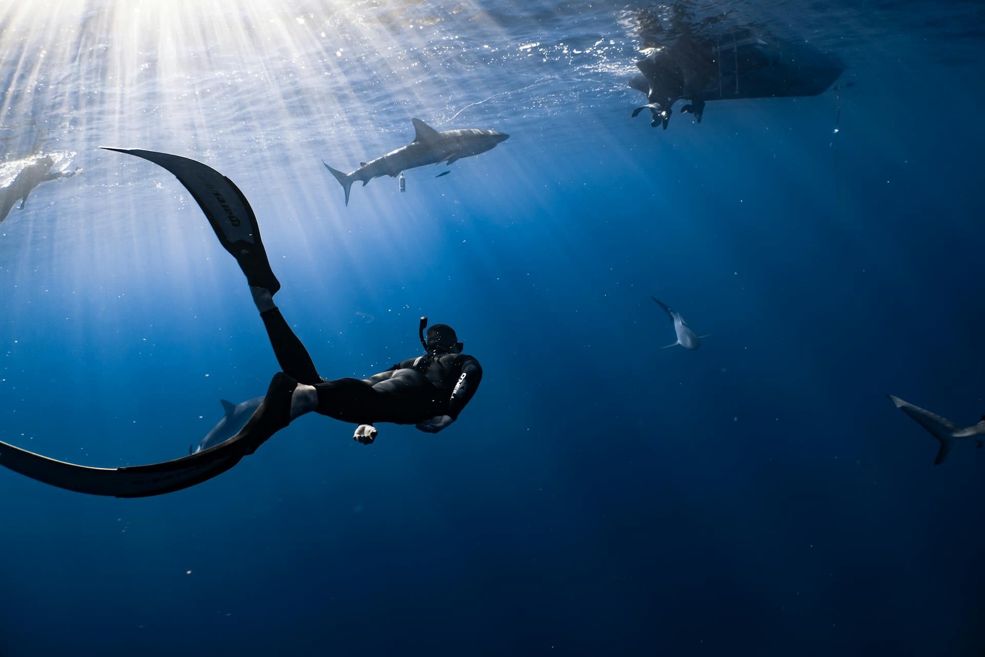 A freediver in blue water with sharks passing above