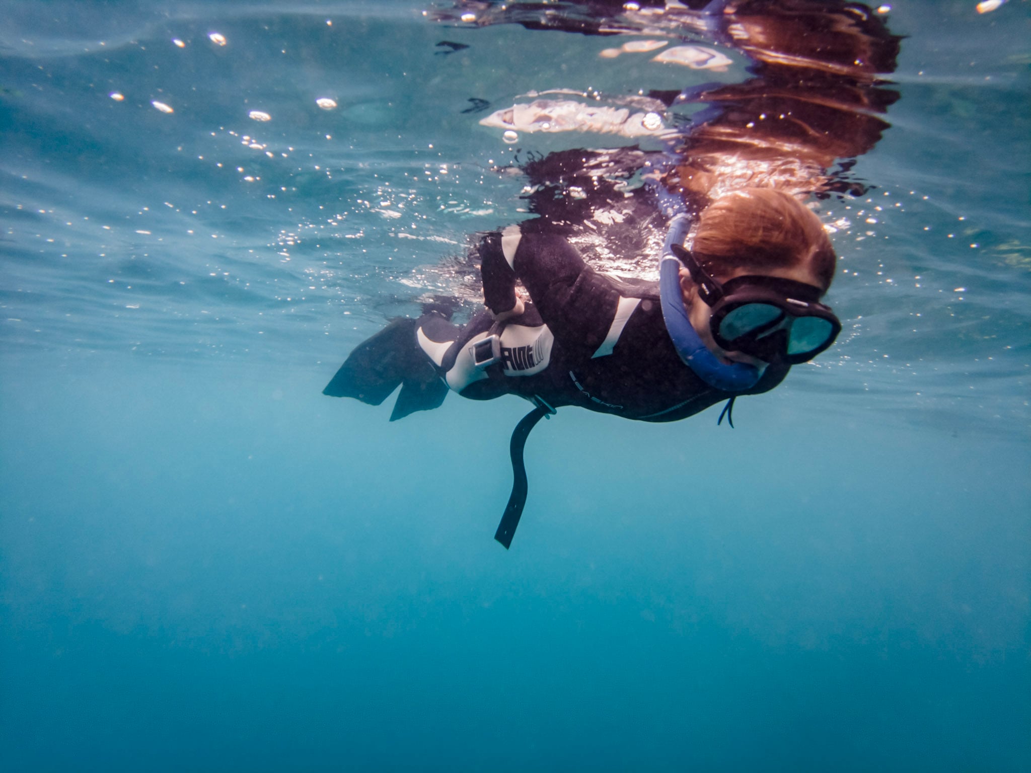 A new freediver duck-diving from the surface on the first day of Level 1