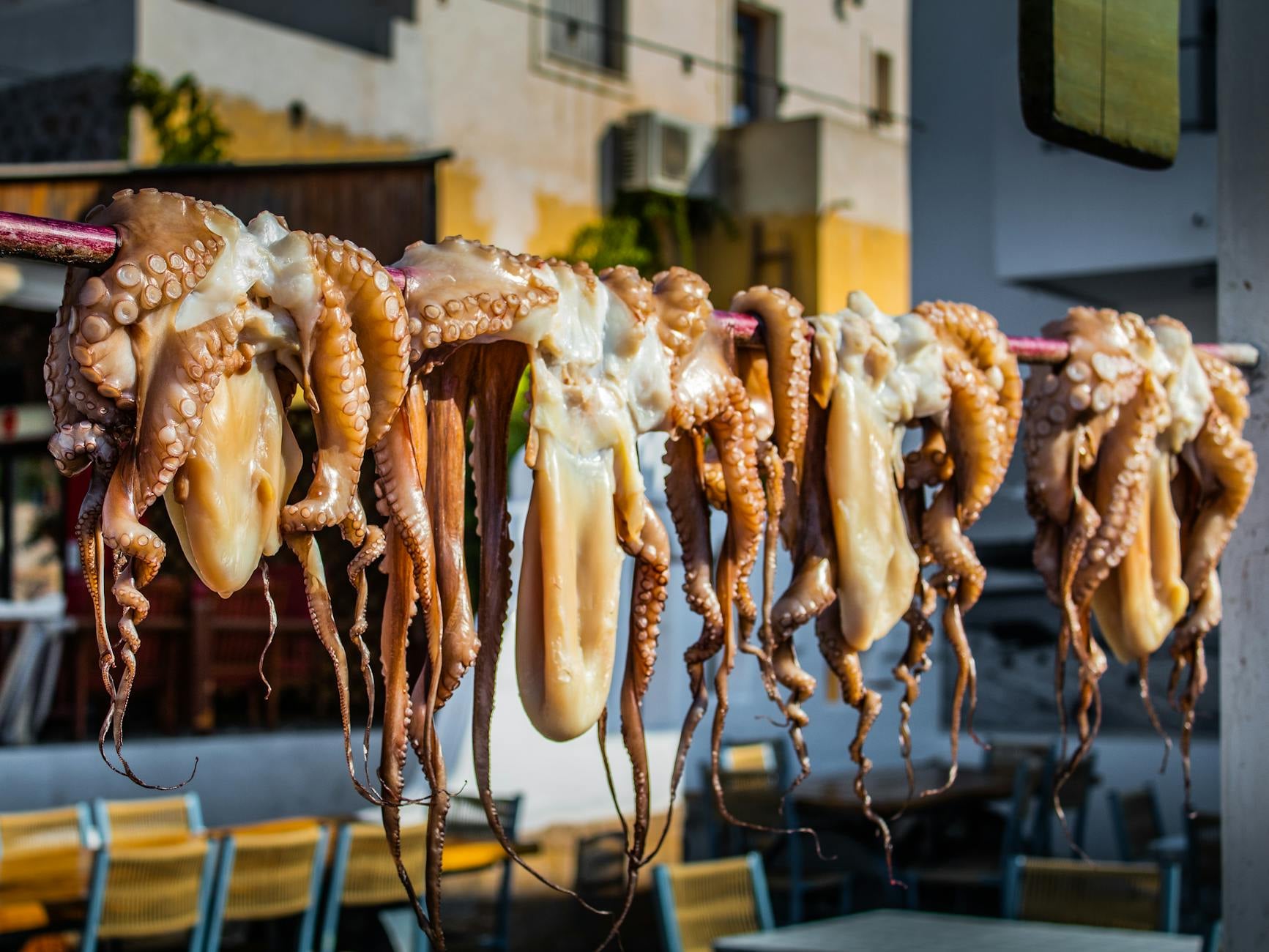Octopus hanging to dry outside a Greek taverna