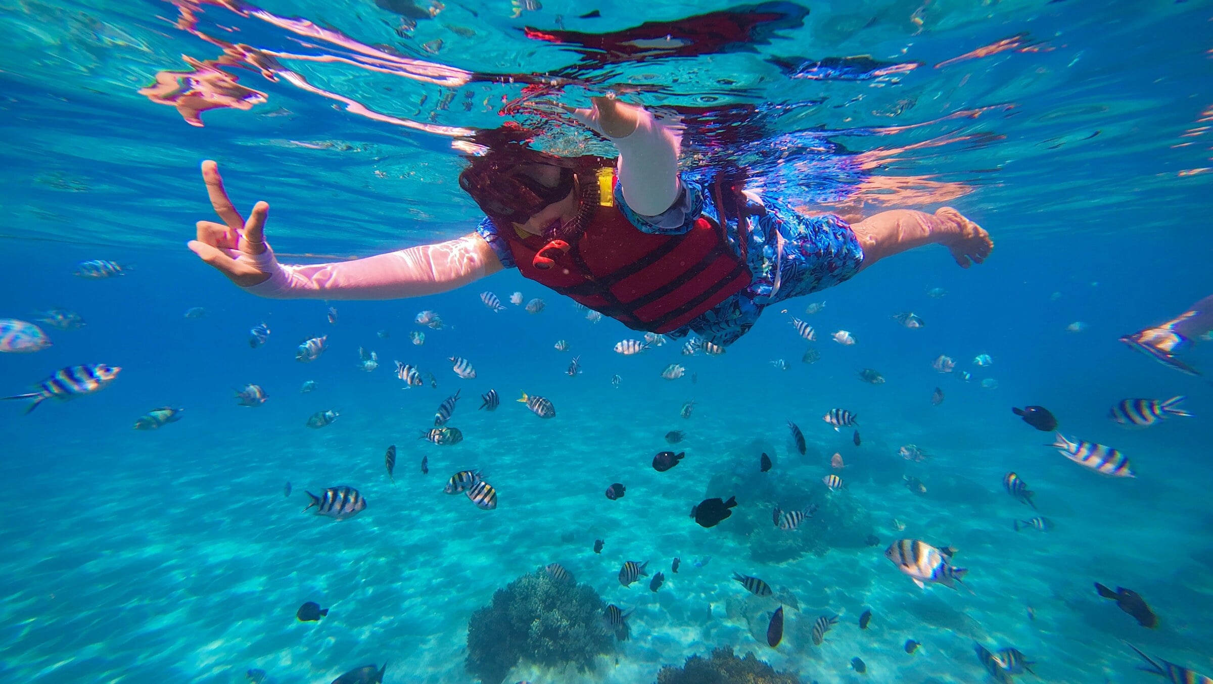 A snorkeler in a red life vest floating at the surface, fish swimming far below