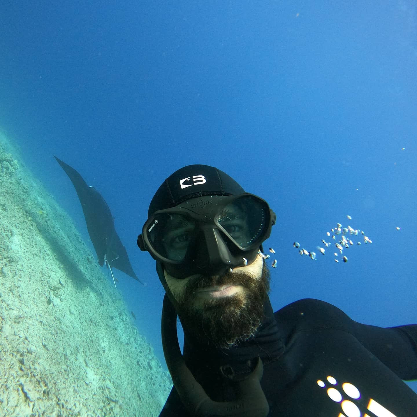 Costa grinning behind his mask, a manta ray gliding past over the reef